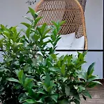Apart-hotel Luna Mare Boutique Seaside