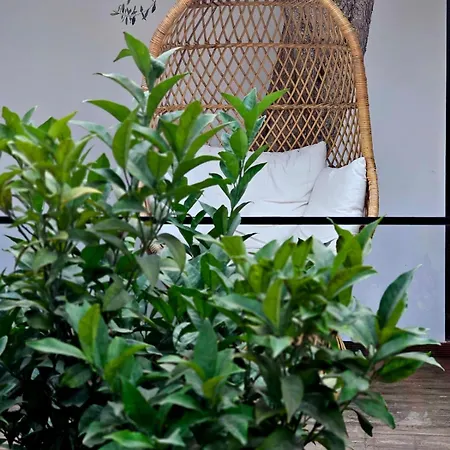 Aparthotel Luna Mare Boutique Seaside