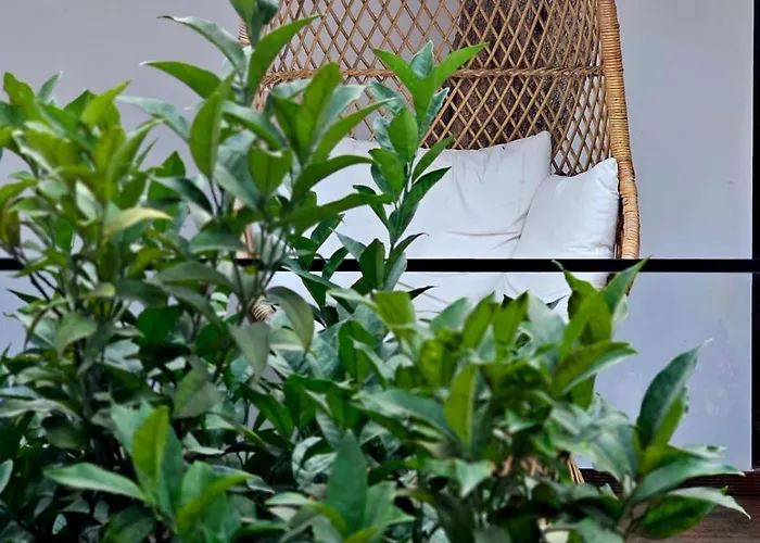 Lejlighedshotel Luna Mare Boutique Seaside